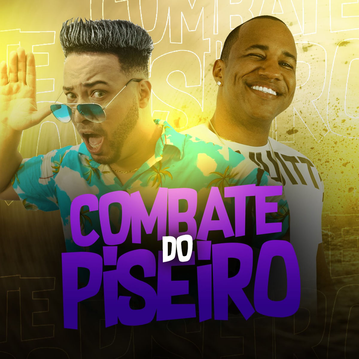 Album cover of Combate do Piseiro