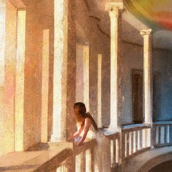 Cover of Evenings in Rome