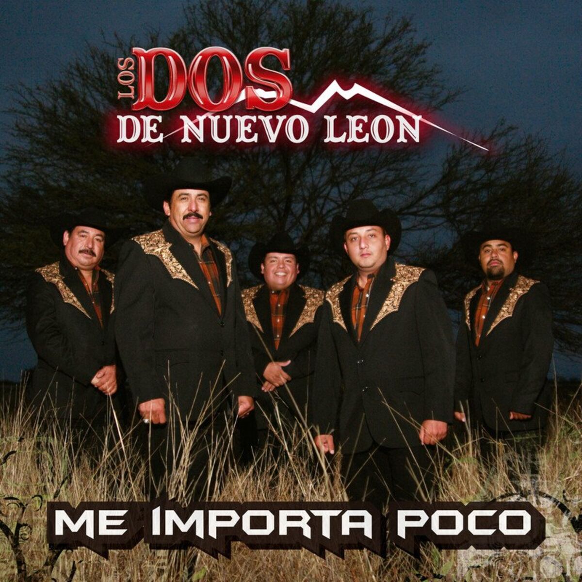 Album cover of Padre, amigo mio