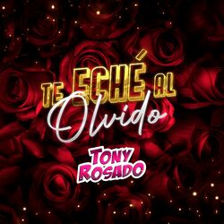 Cover of Te Eché al Olvido
