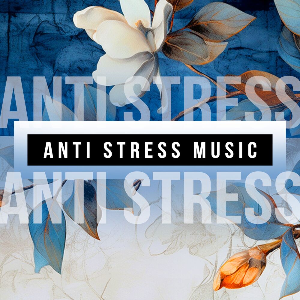 Picture of Anti Stress Music