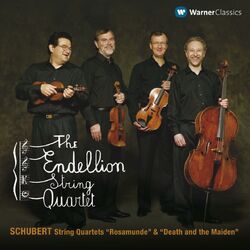 Cover of Schubert: String Quartets No. 13 "Rosamunde" & No. 14 "Death and the Maiden"
