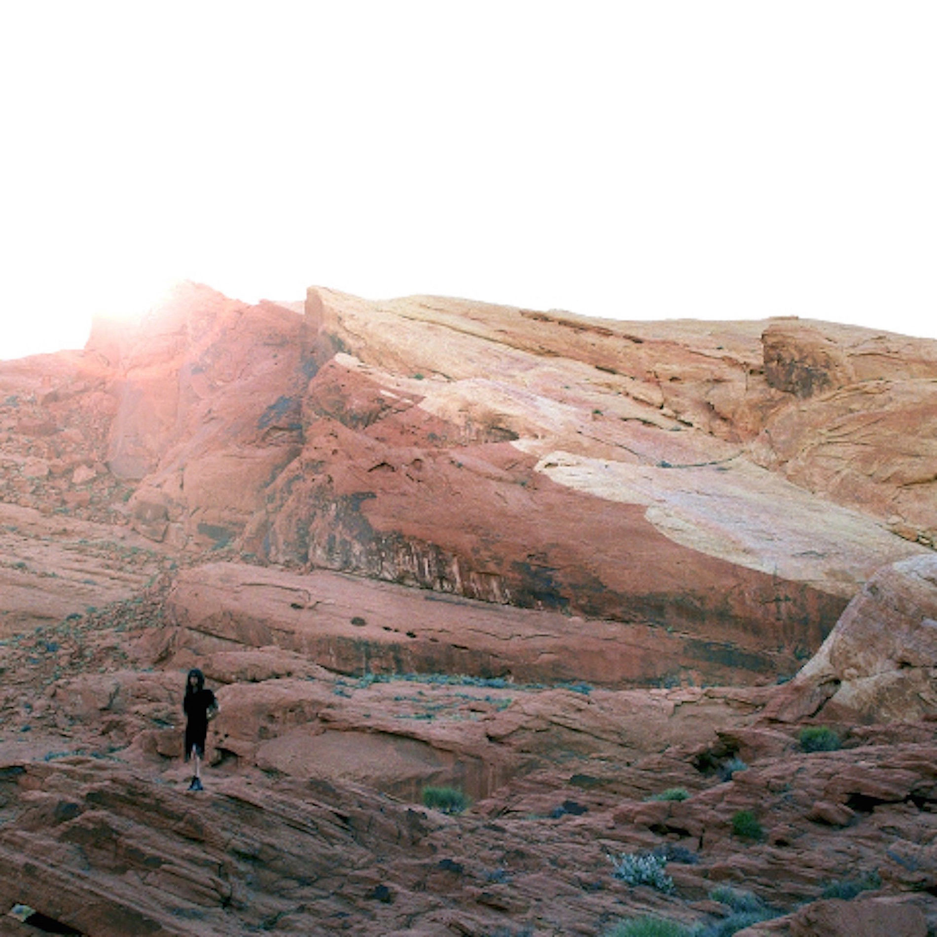 Album cover of The Waves