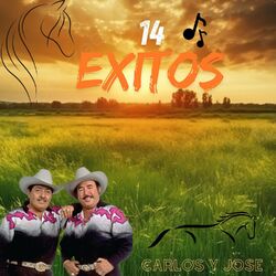 Cover of 14 EXITOS