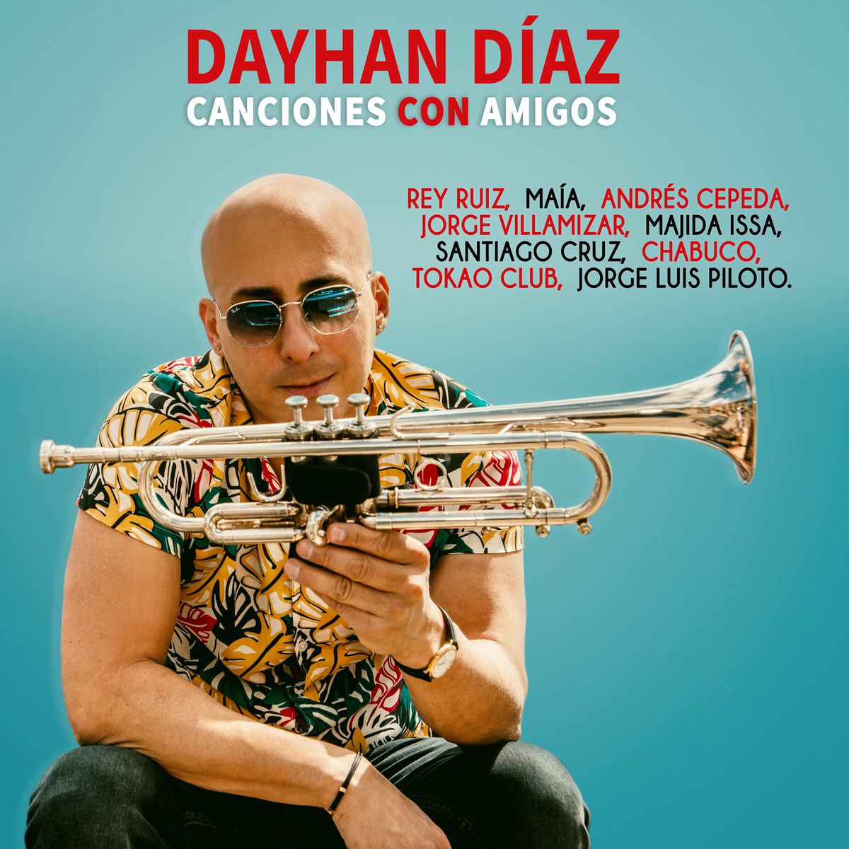 Album cover of Canciones Con Amigos
