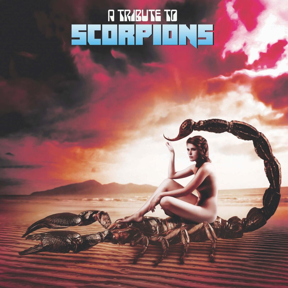 Album cover of A Tribute To Scorpions