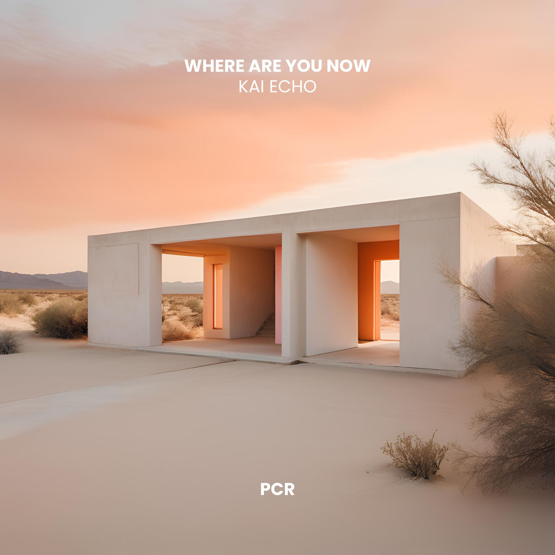 Album cover of Where Are You Now (Afro House)