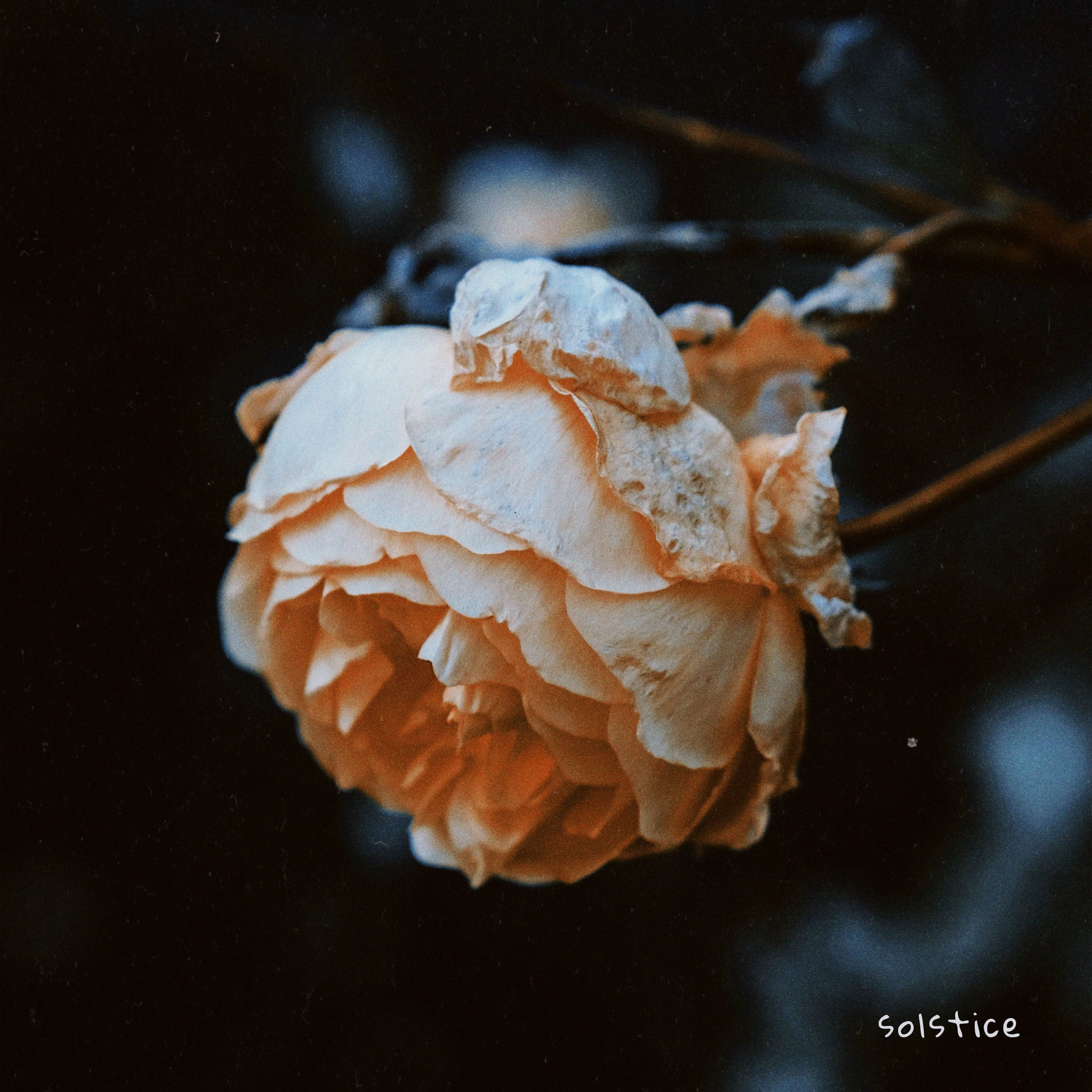 Album cover of Solstice