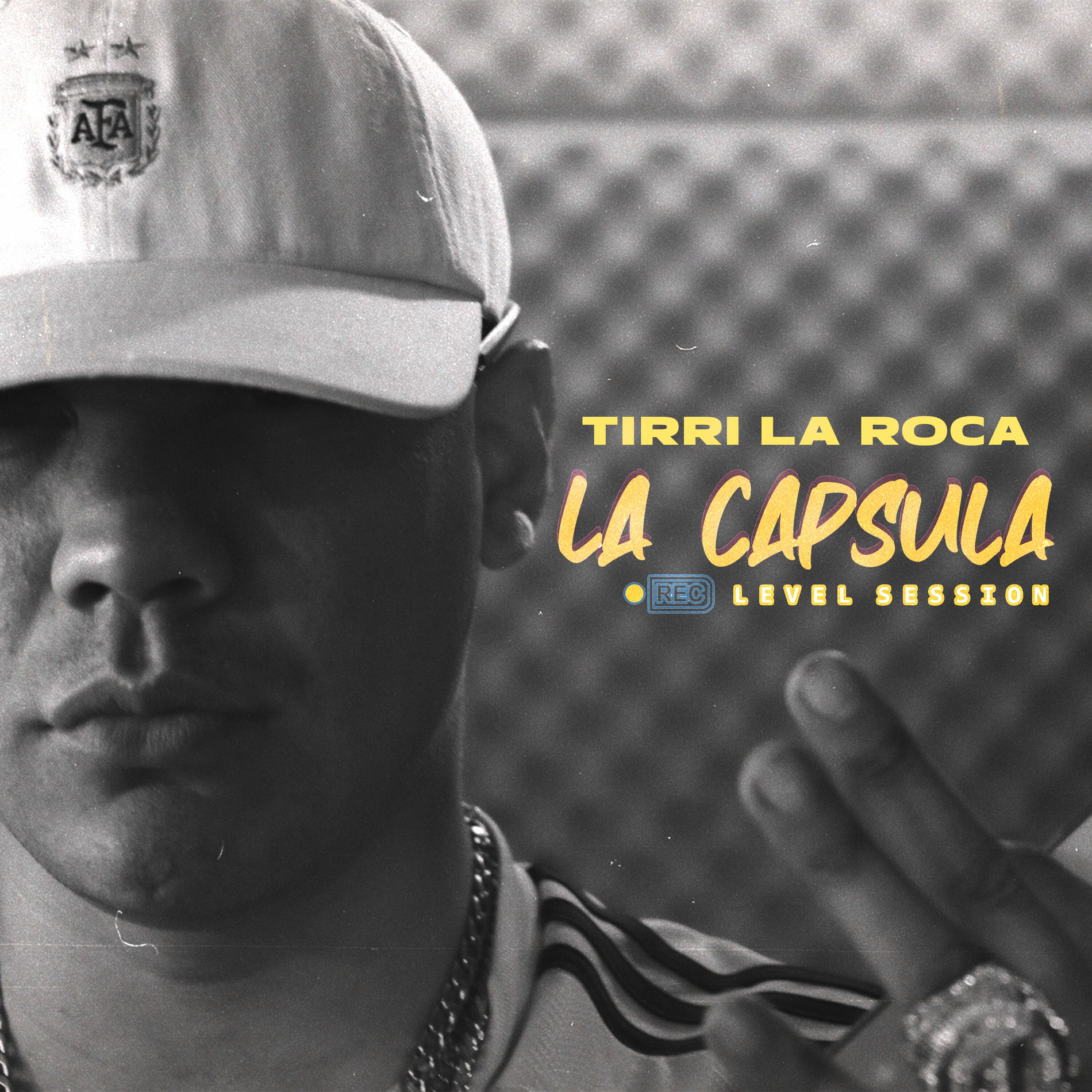 Album cover of Level Session 43 (La Capsula)