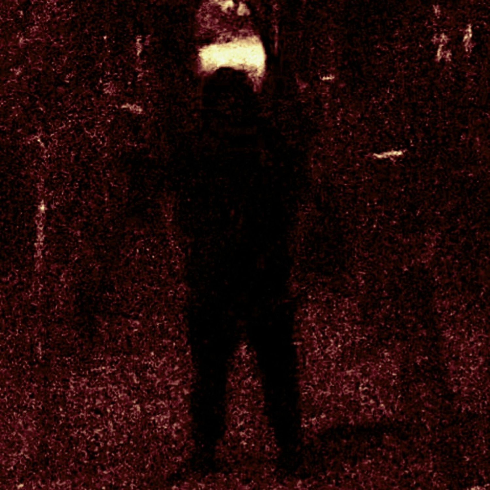 Album cover of BLXXDWXRK (feat. Sect Unit)