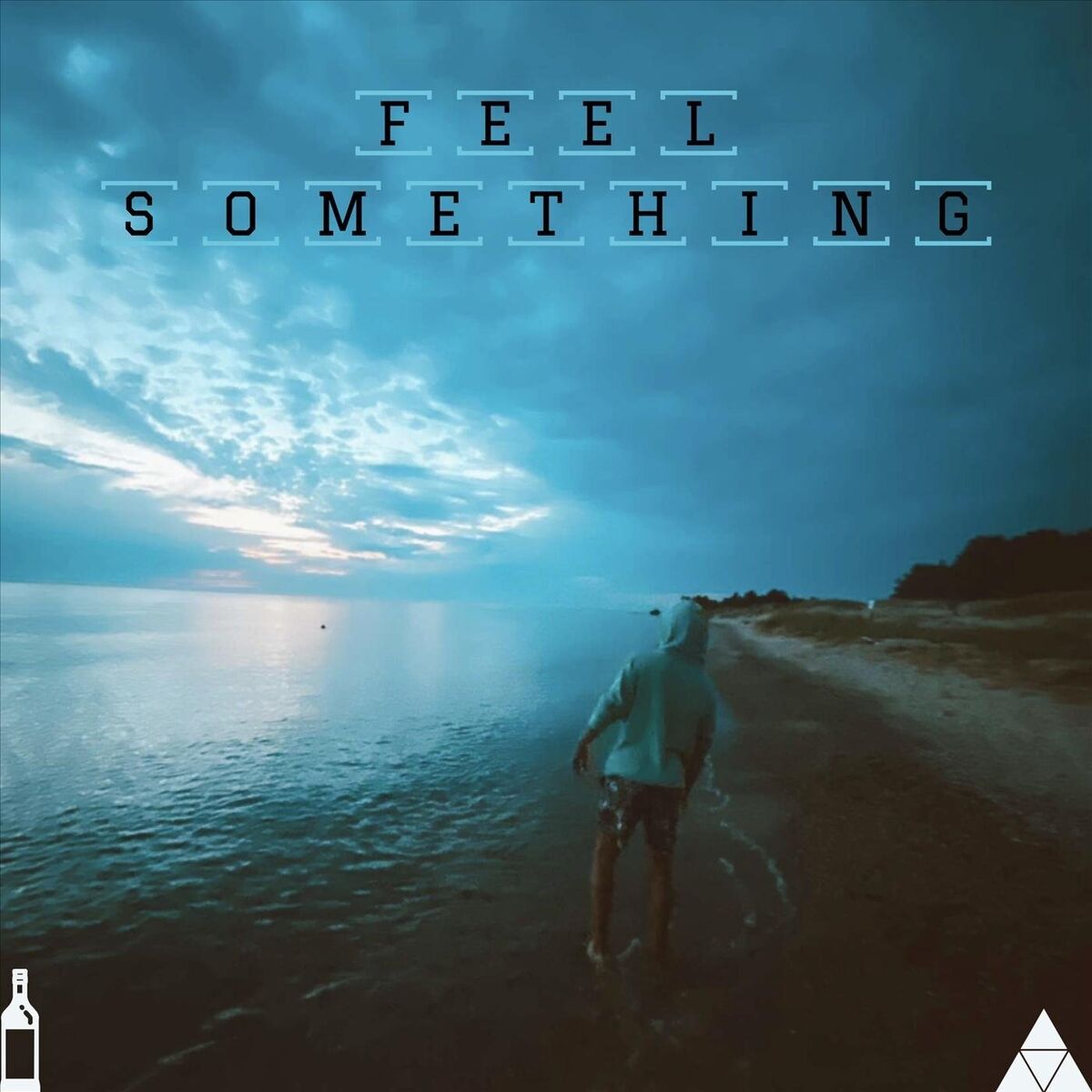 Album cover of Feel Something
