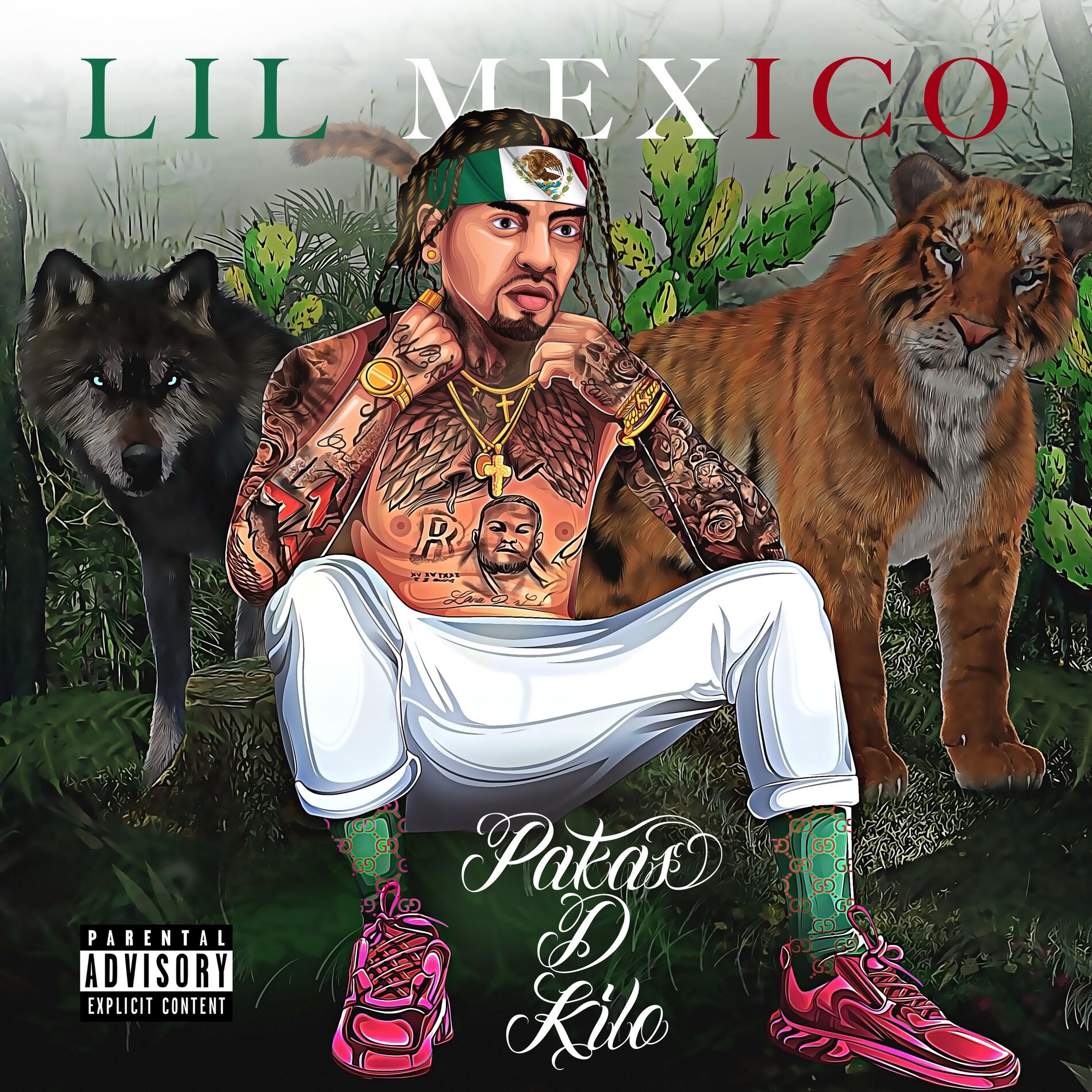 Album cover of Pakas D Kilo