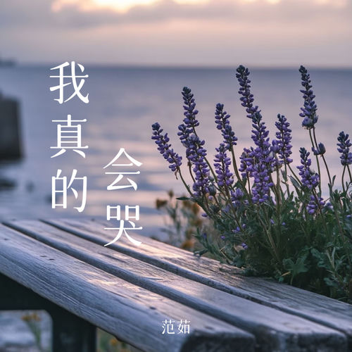 我真的会哭