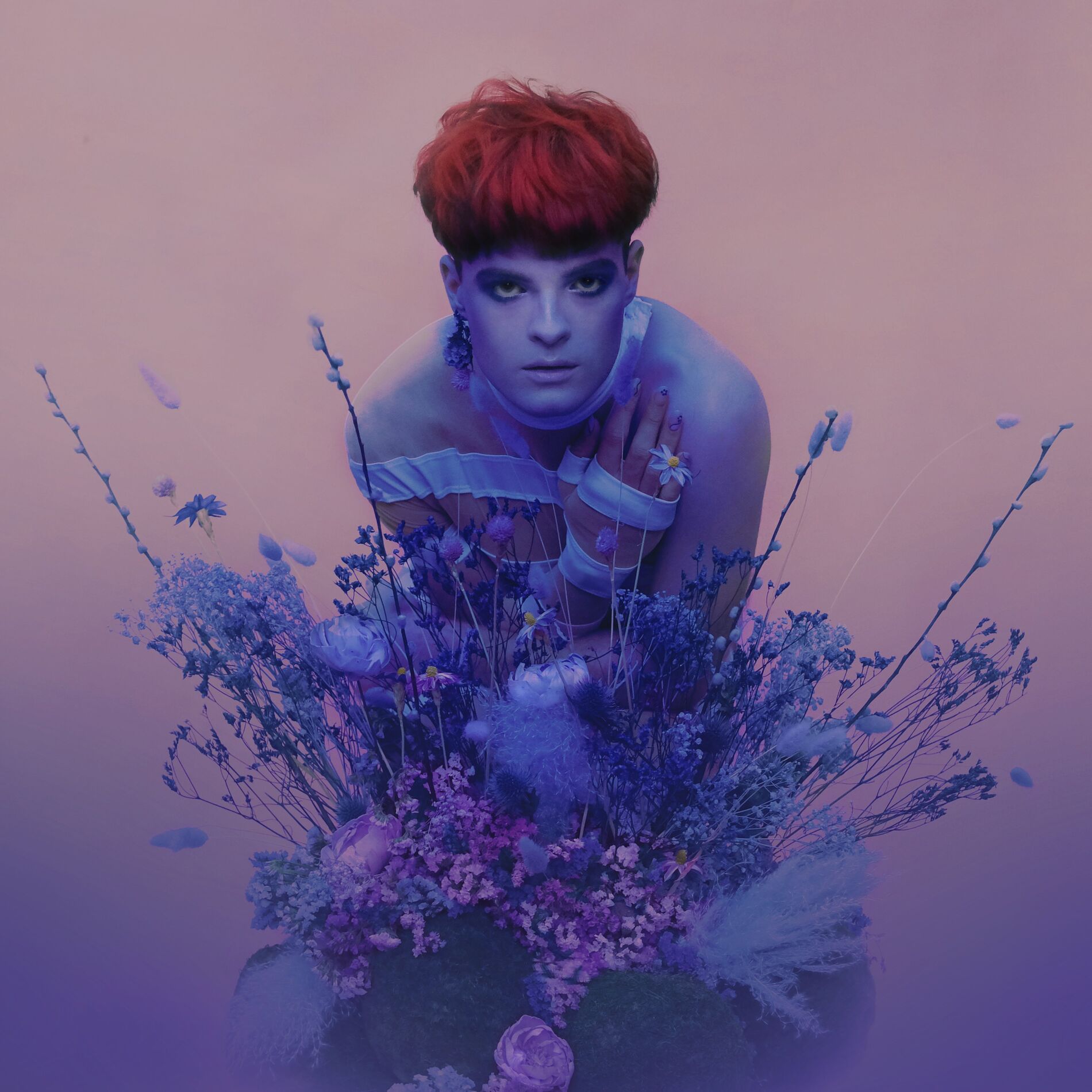 Album cover of Lavender Forever