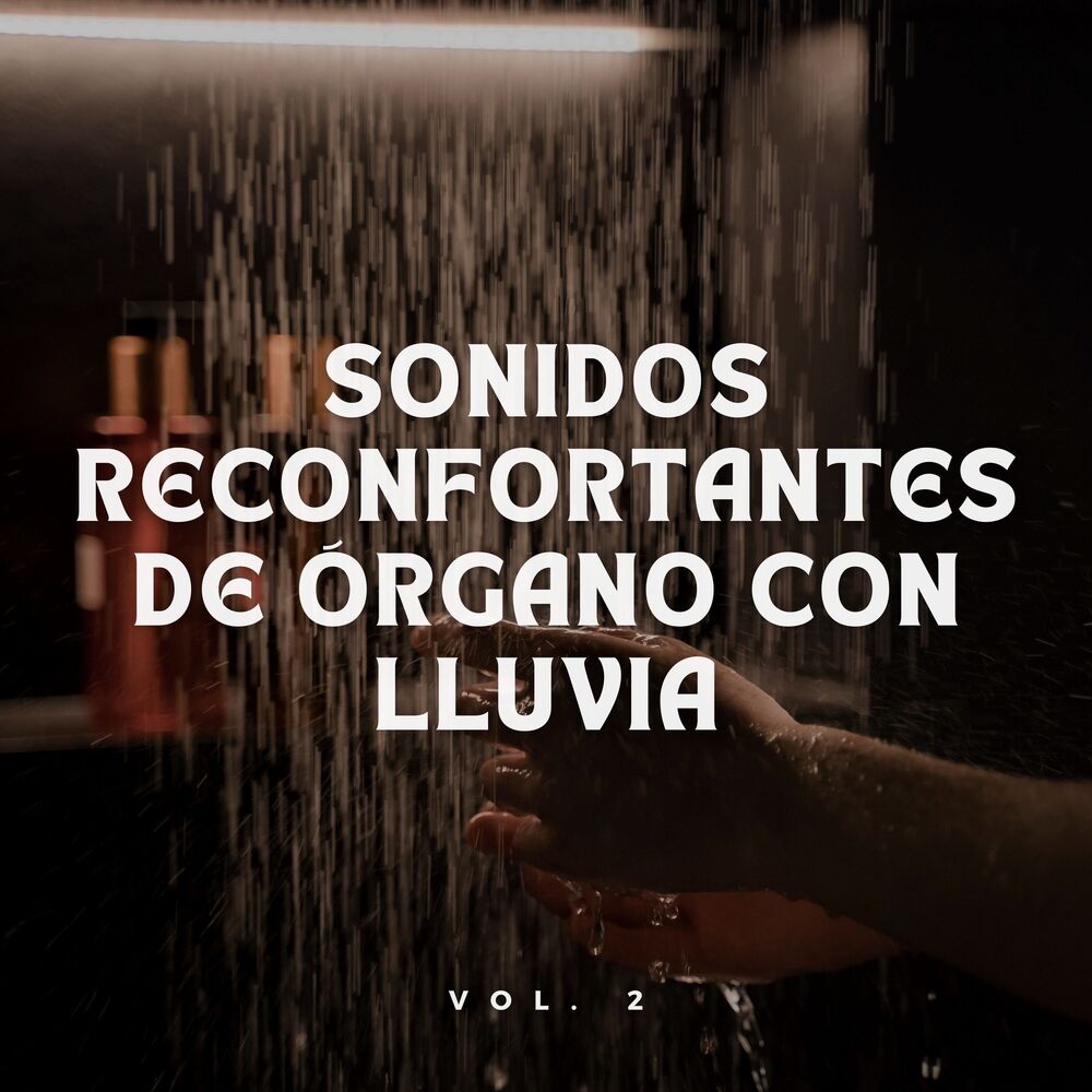 Picture of Sonidos Reconfortantes De Órgano Con Lluvia Vol. 2