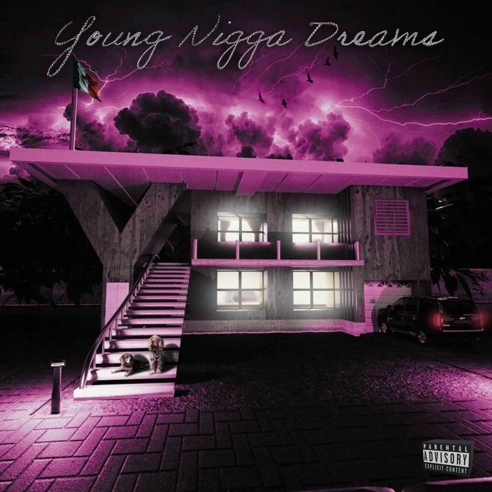 Album cover of YND: THE ALBUM (Extended Version)