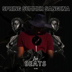 Cover of Spring Summer Sangena