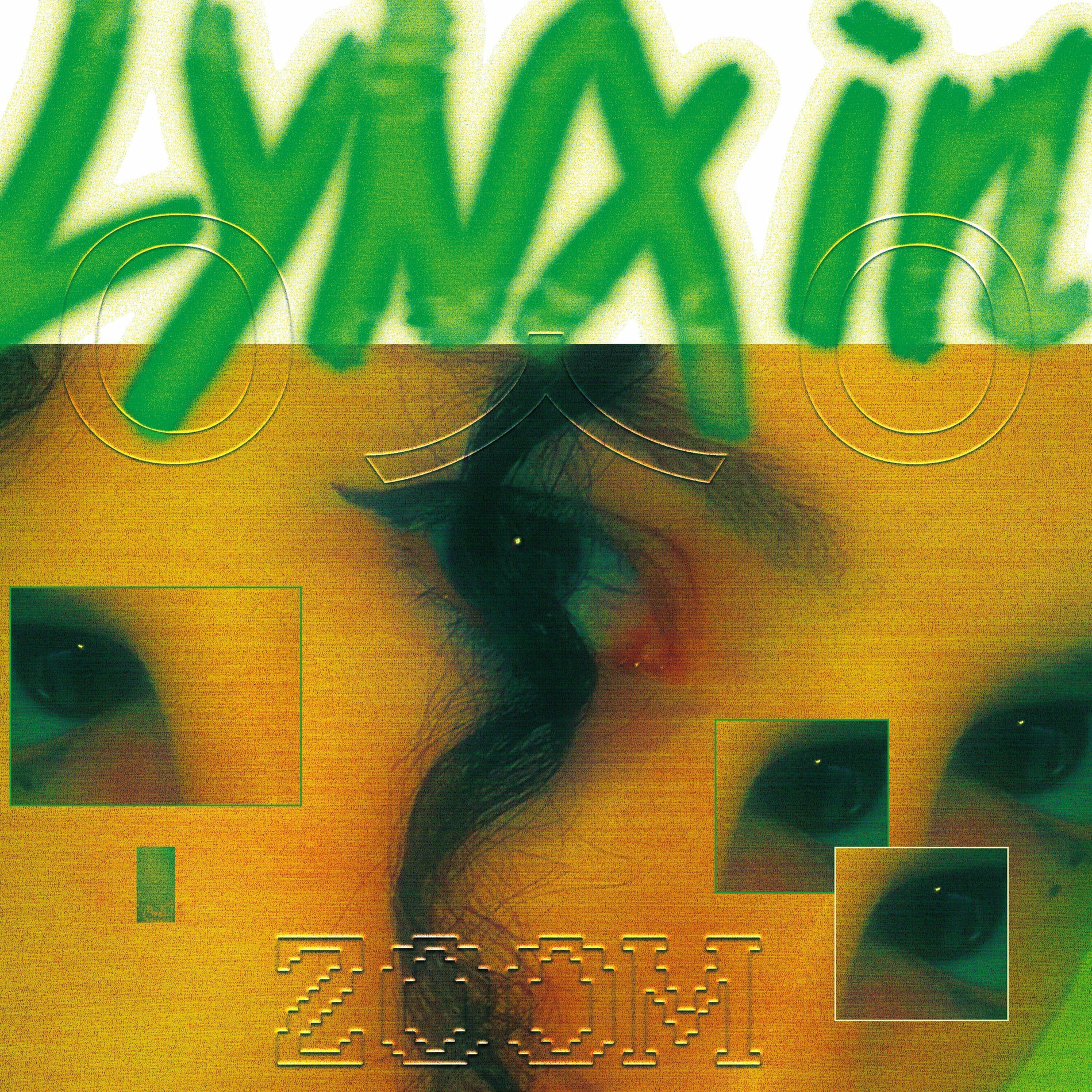 洋楽 What Is My Porpoise? DOLPHIN HYPERSPACE What is my Porpoise? | Dolphin Hyperspace