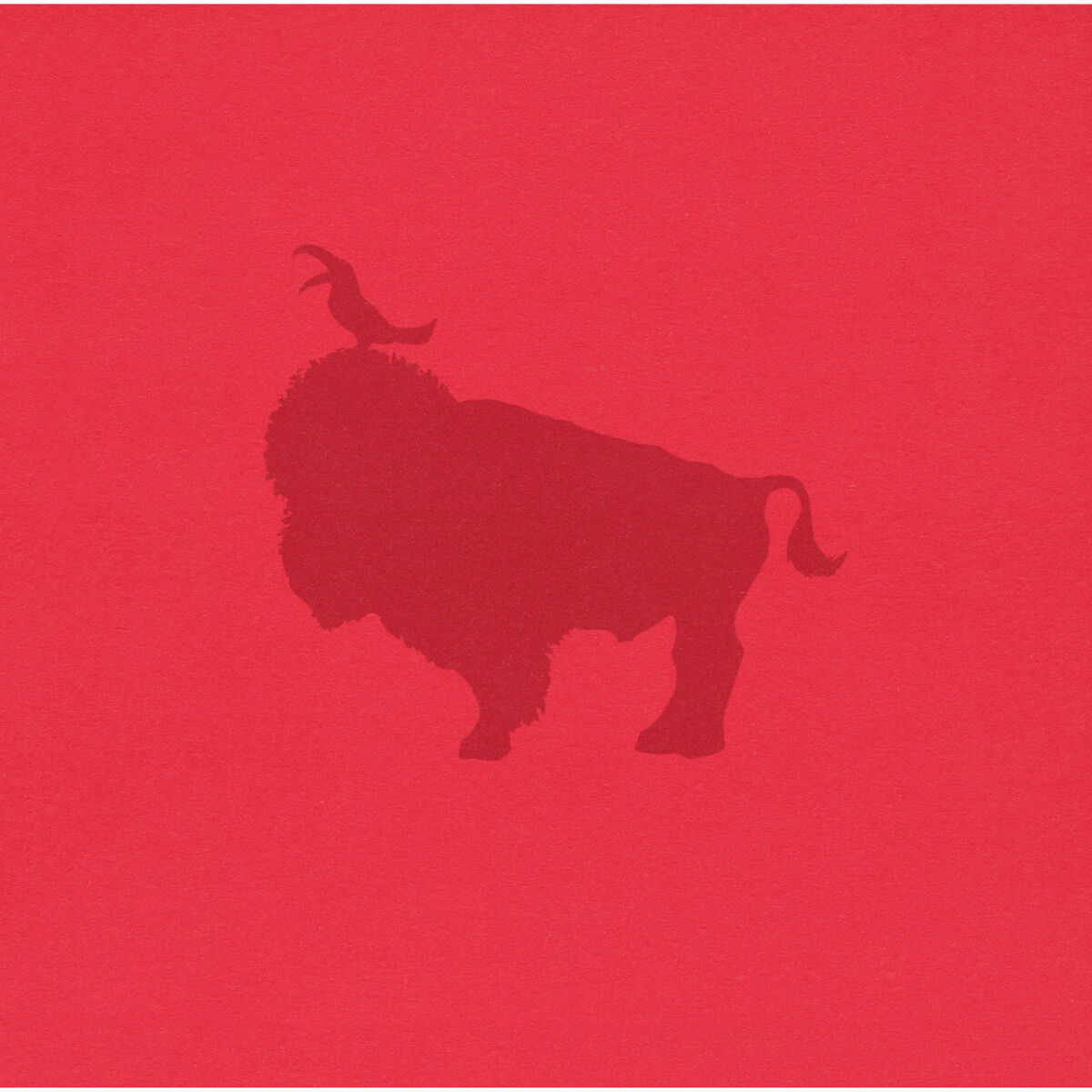 Album cover of Sukimaswitch Arena Tour '07 