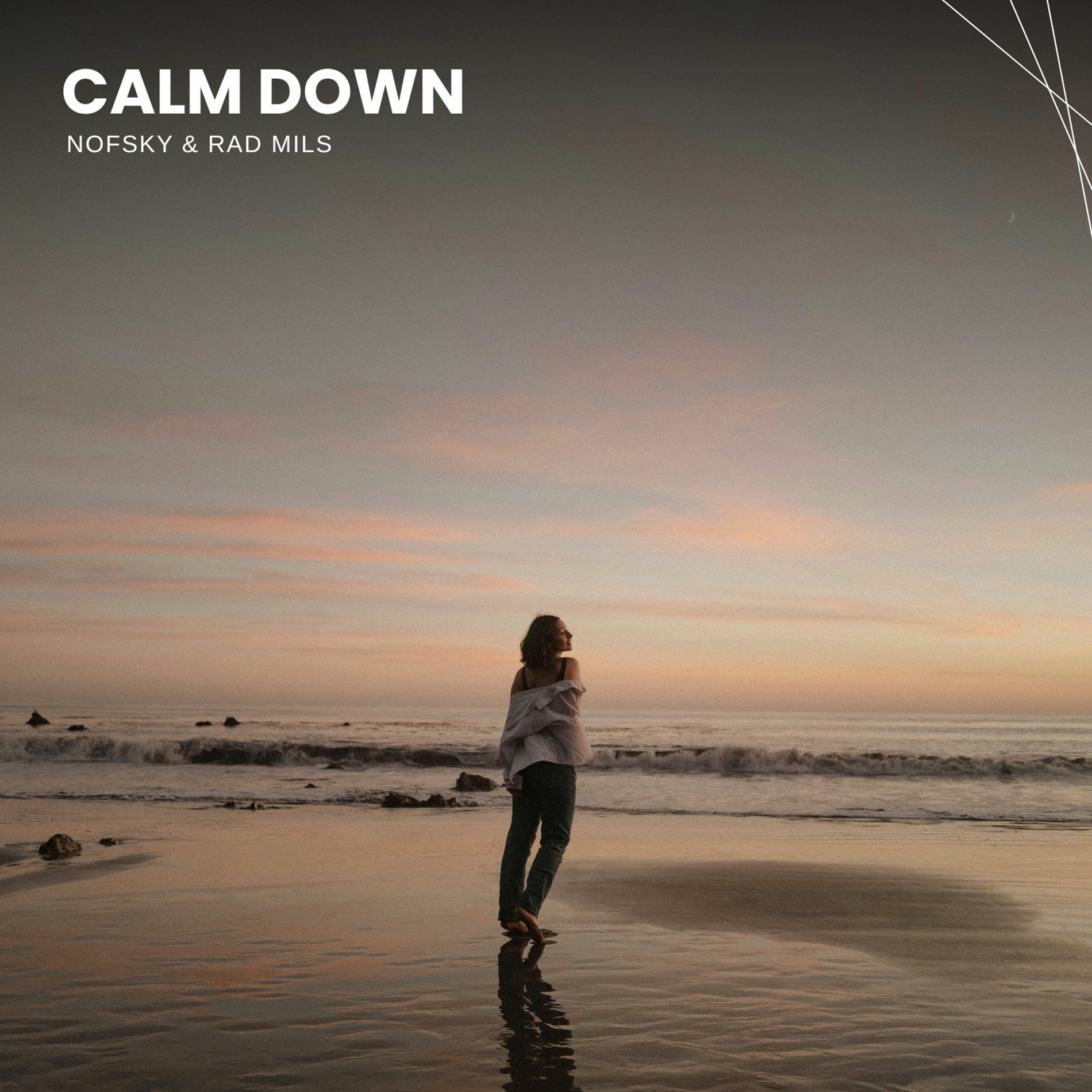Album cover of Calm Down