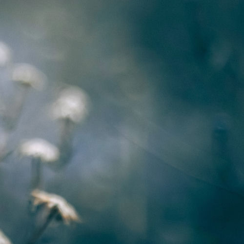 50 White Noise Sounds For Sleeping: Harmony in Static