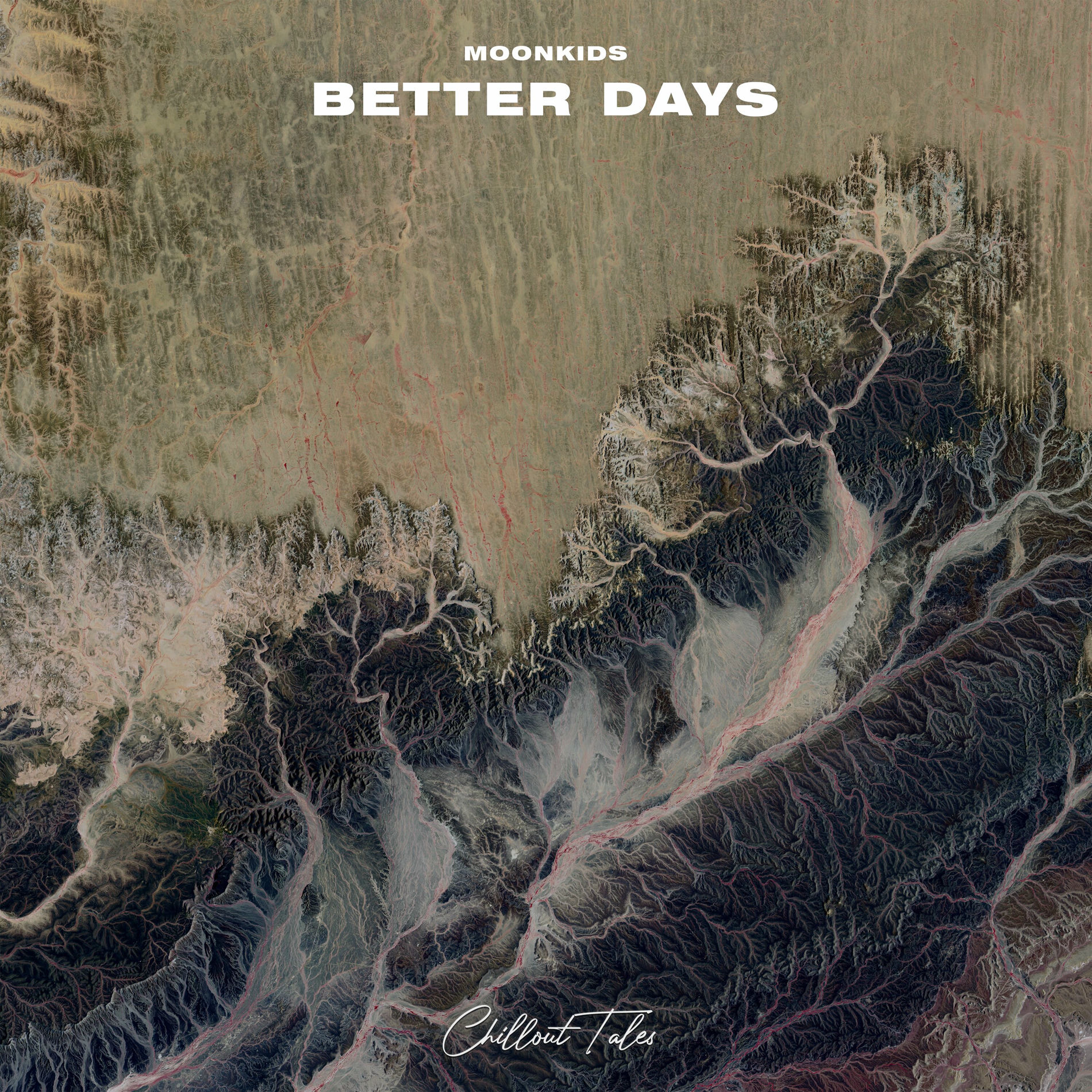 Album cover of Better Days (Edit)