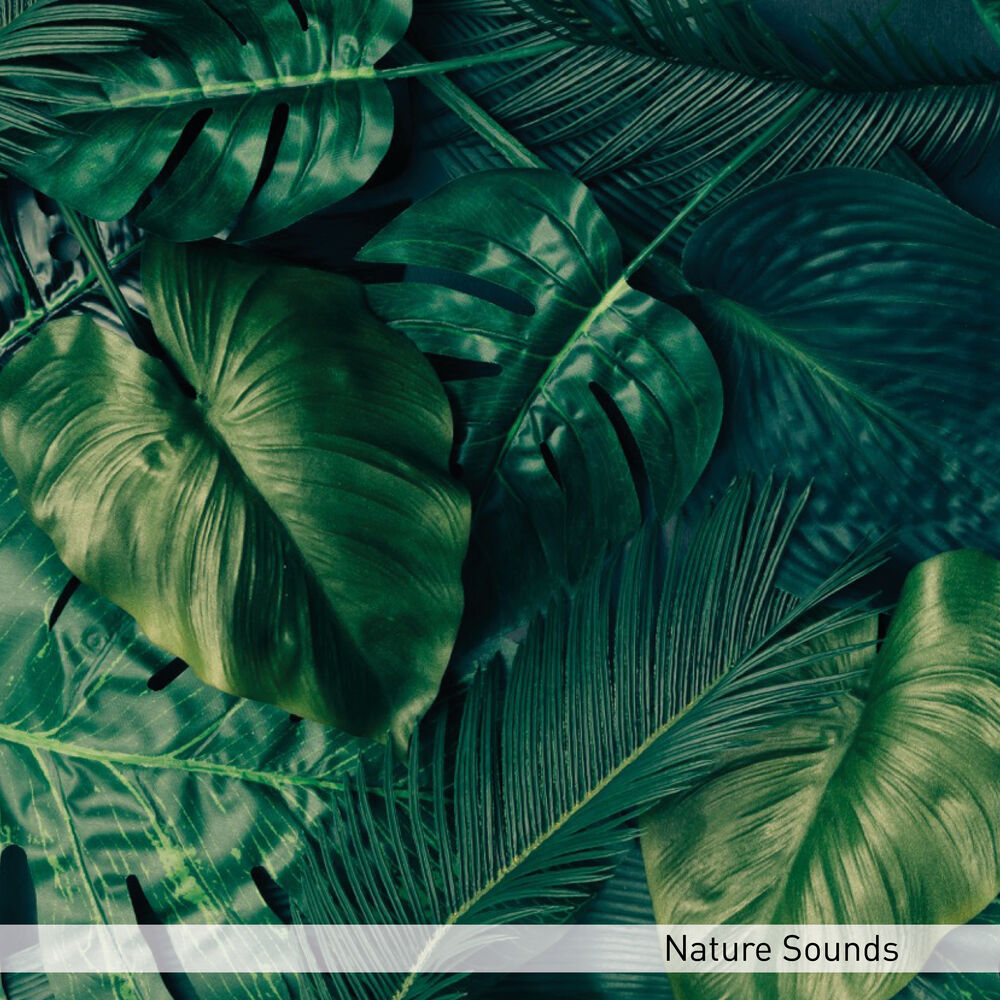 Picture of Nature Sounds