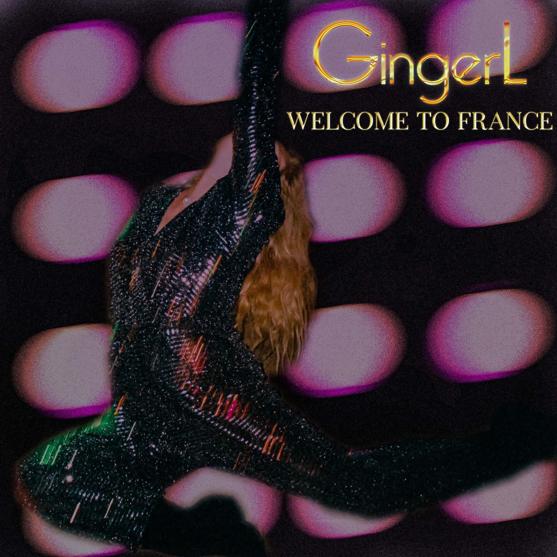 Album cover of Welcome to France