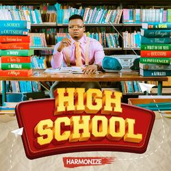 Cover of High School