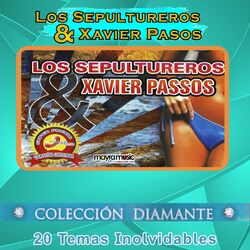Cover of 20 Temas Inolvidables