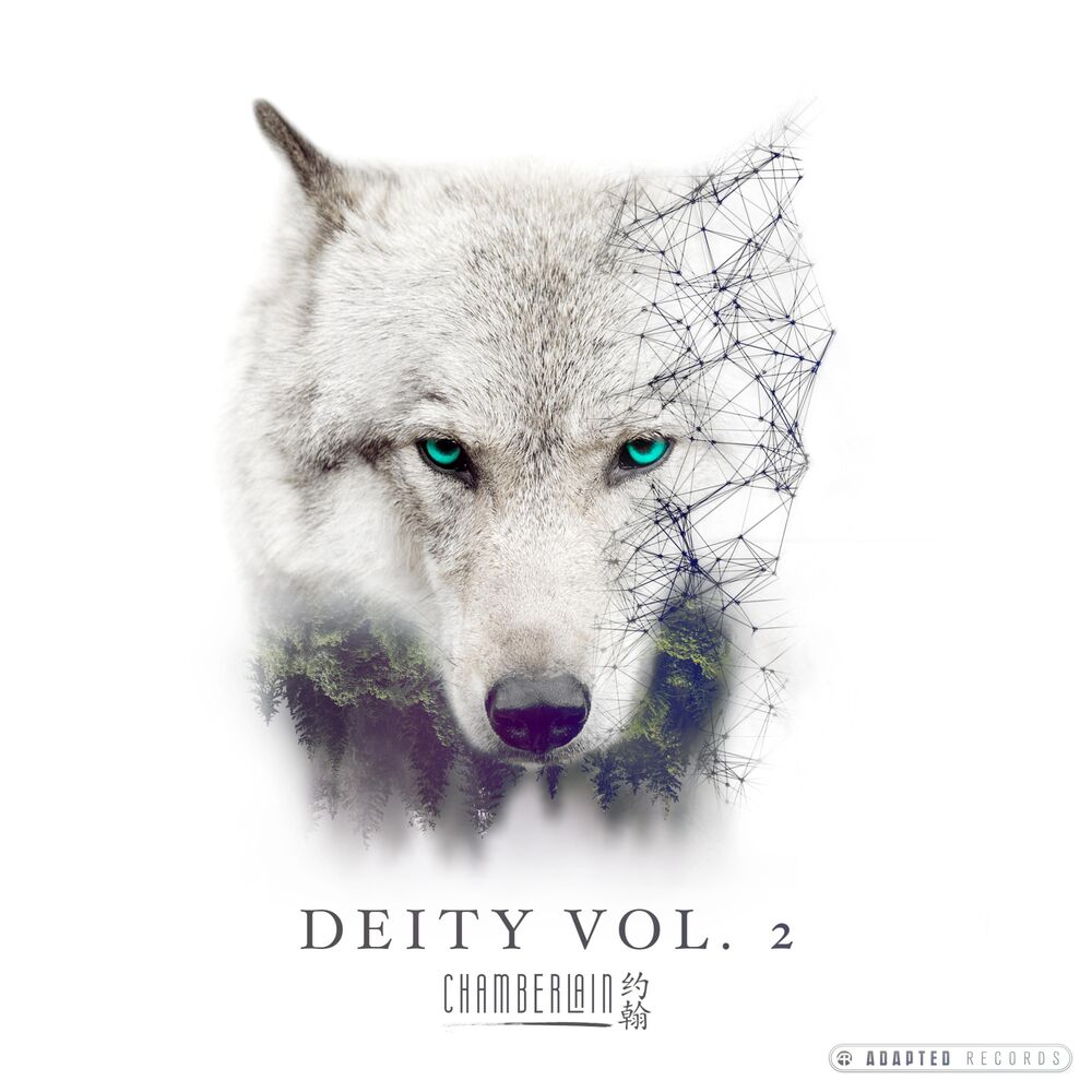 Picture of Deity, Vol. 2