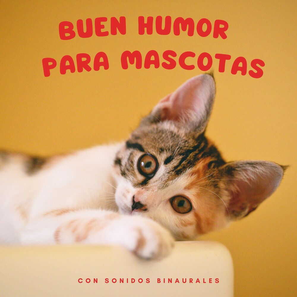 Picture of Buen Humor Para Mascotas Con Sonidos Binaurales