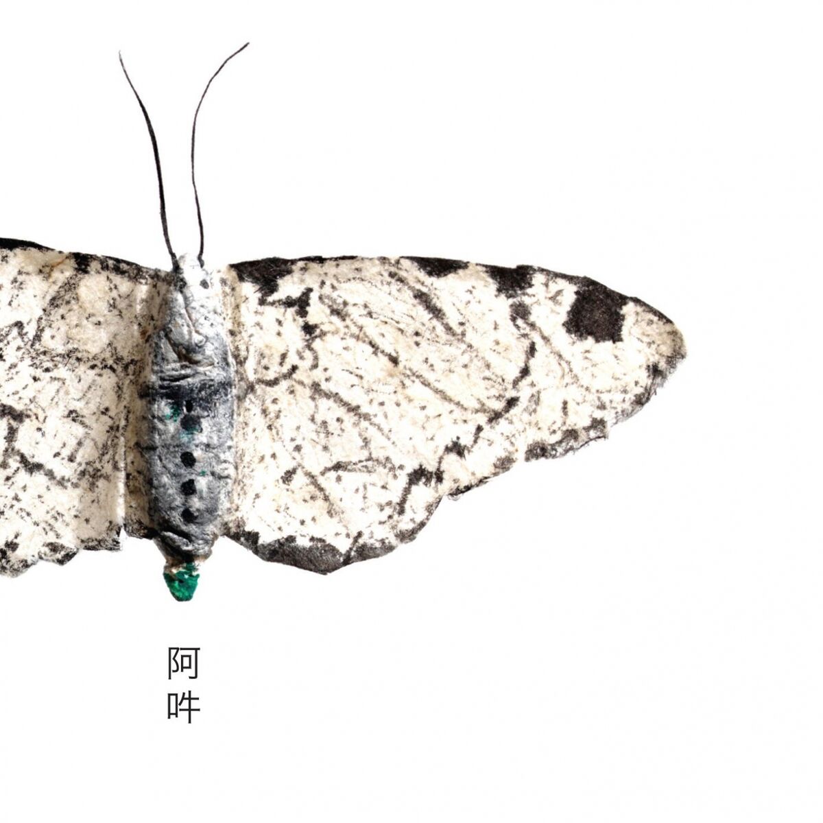 Album cover of AUN