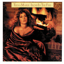 Cover of Irons In The Fire