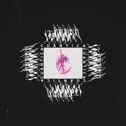 Cover of Cuántica