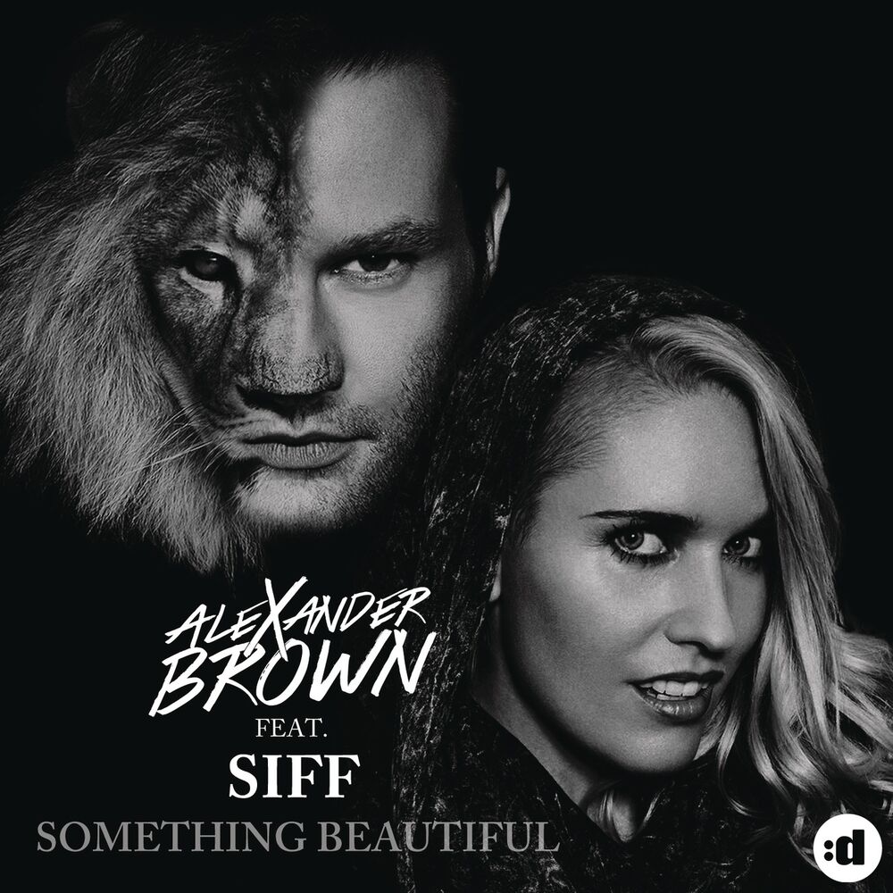 Picture of Something Beautiful (Remixes) (feat. Siff)