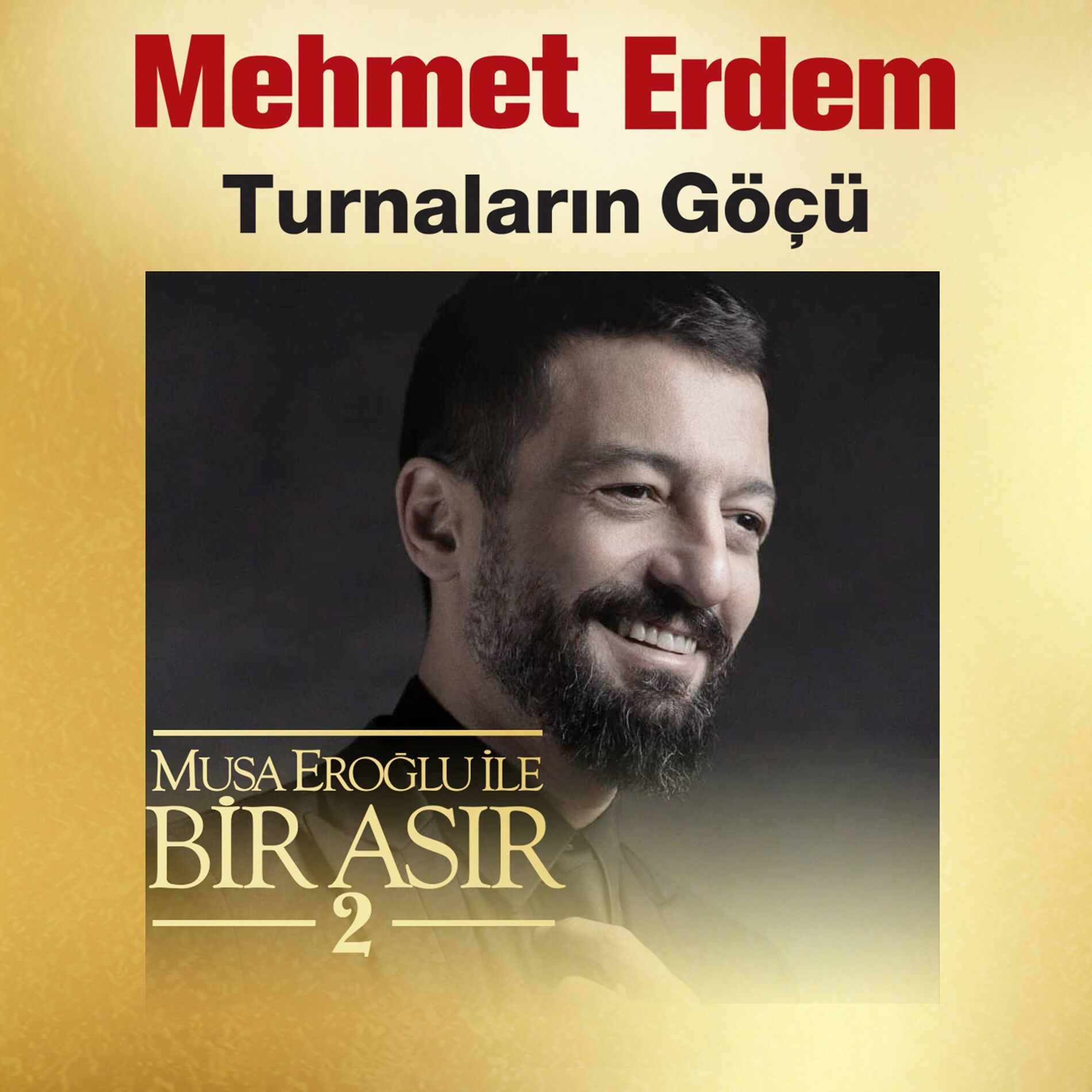 Album cover of Turnaların Göçü