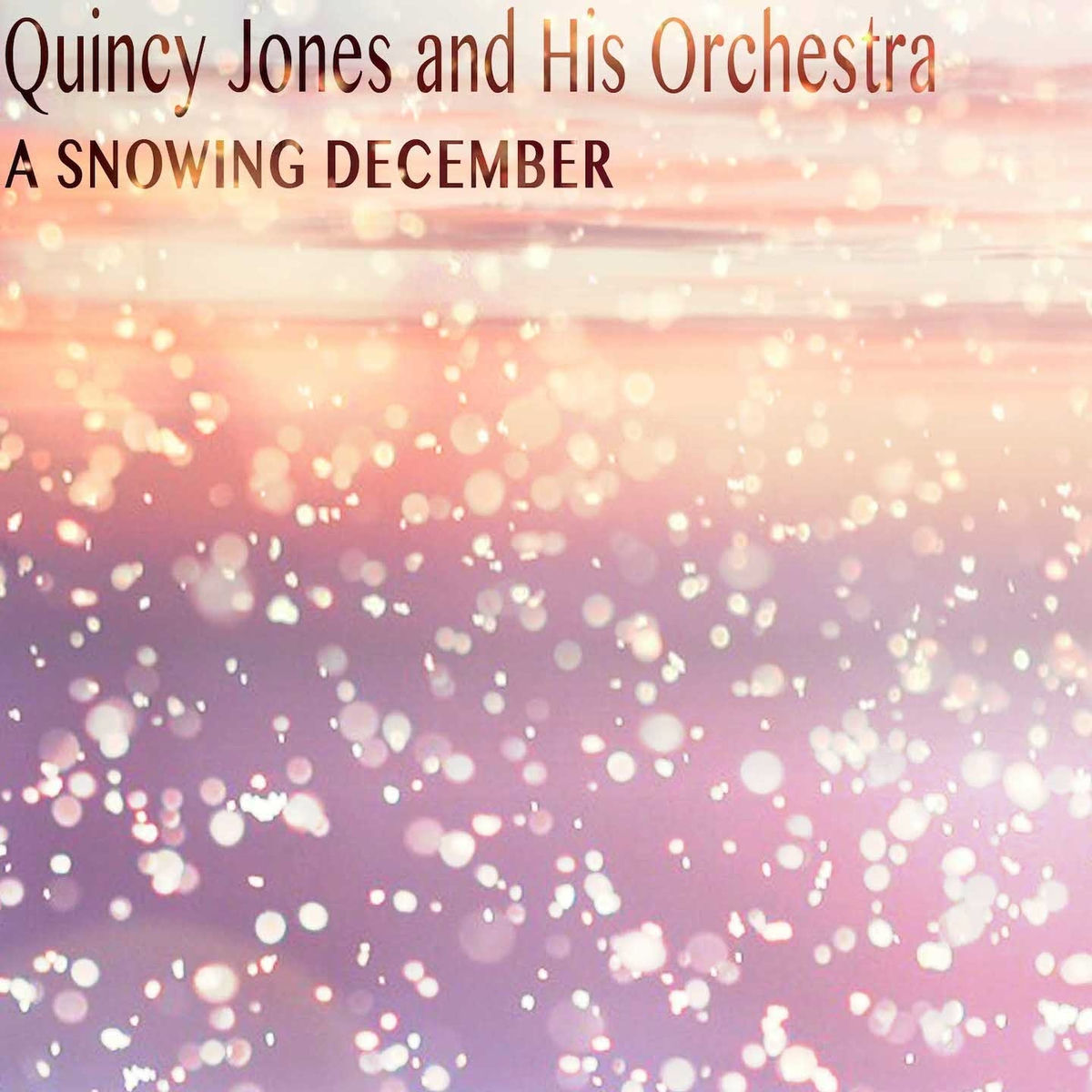 Album cover of A Snowing December