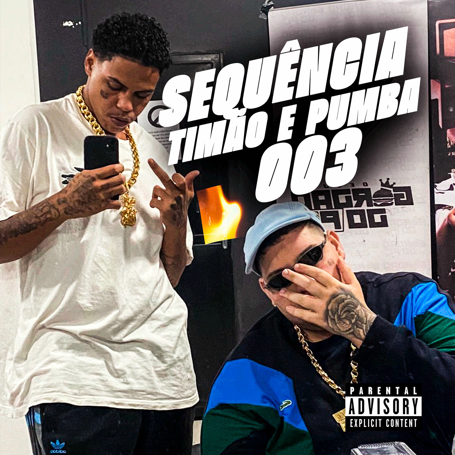 Album cover of Sequência Timão E Pumba - 003