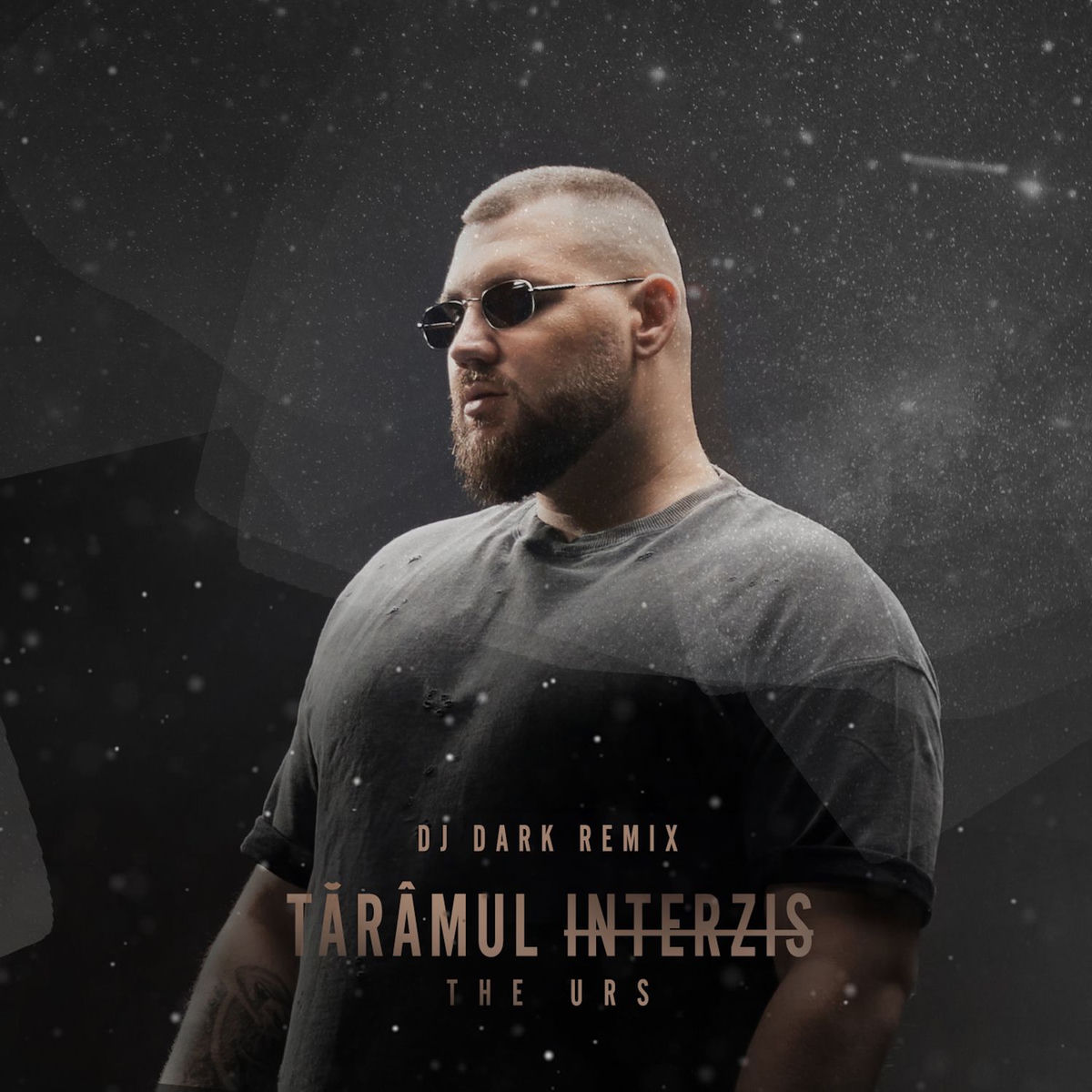 Album cover of Taramul interzis