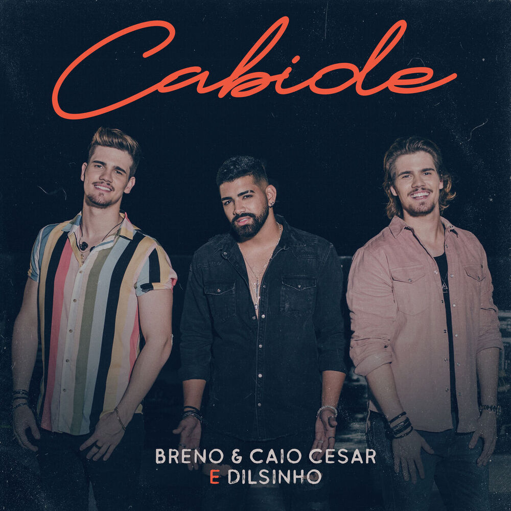 Picture of Cabide