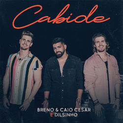 Cover of Cabide