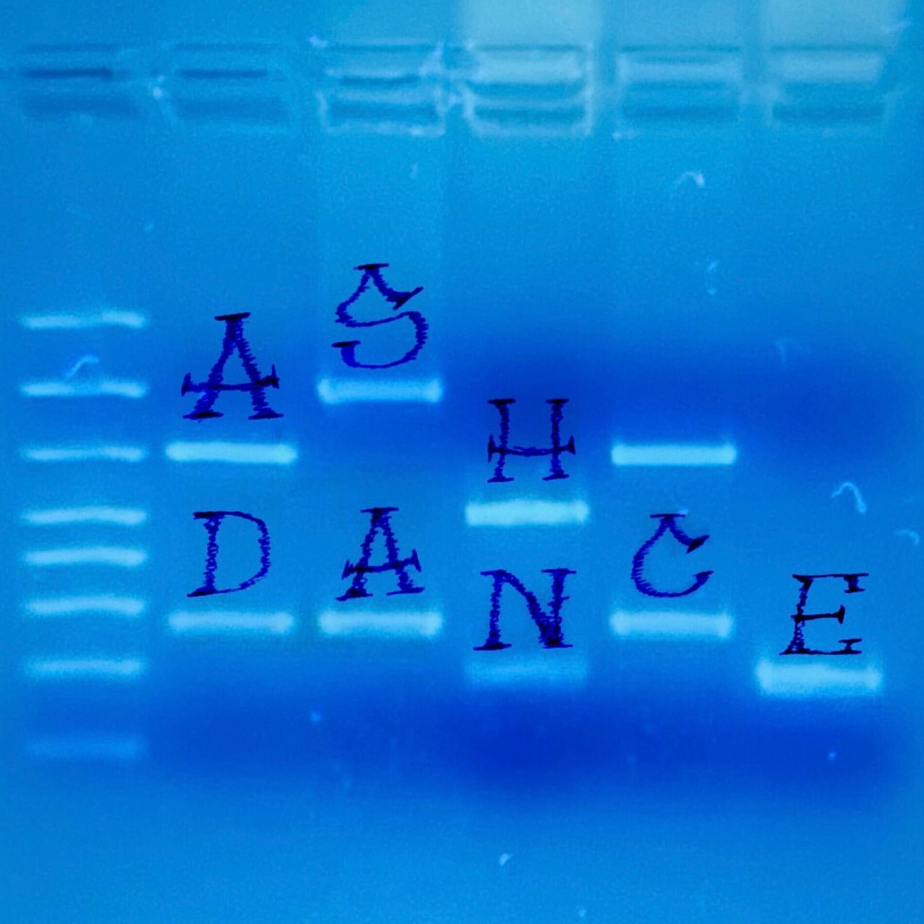 Album cover of Ash dance