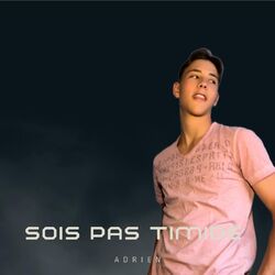 Cover of Sois pas timide