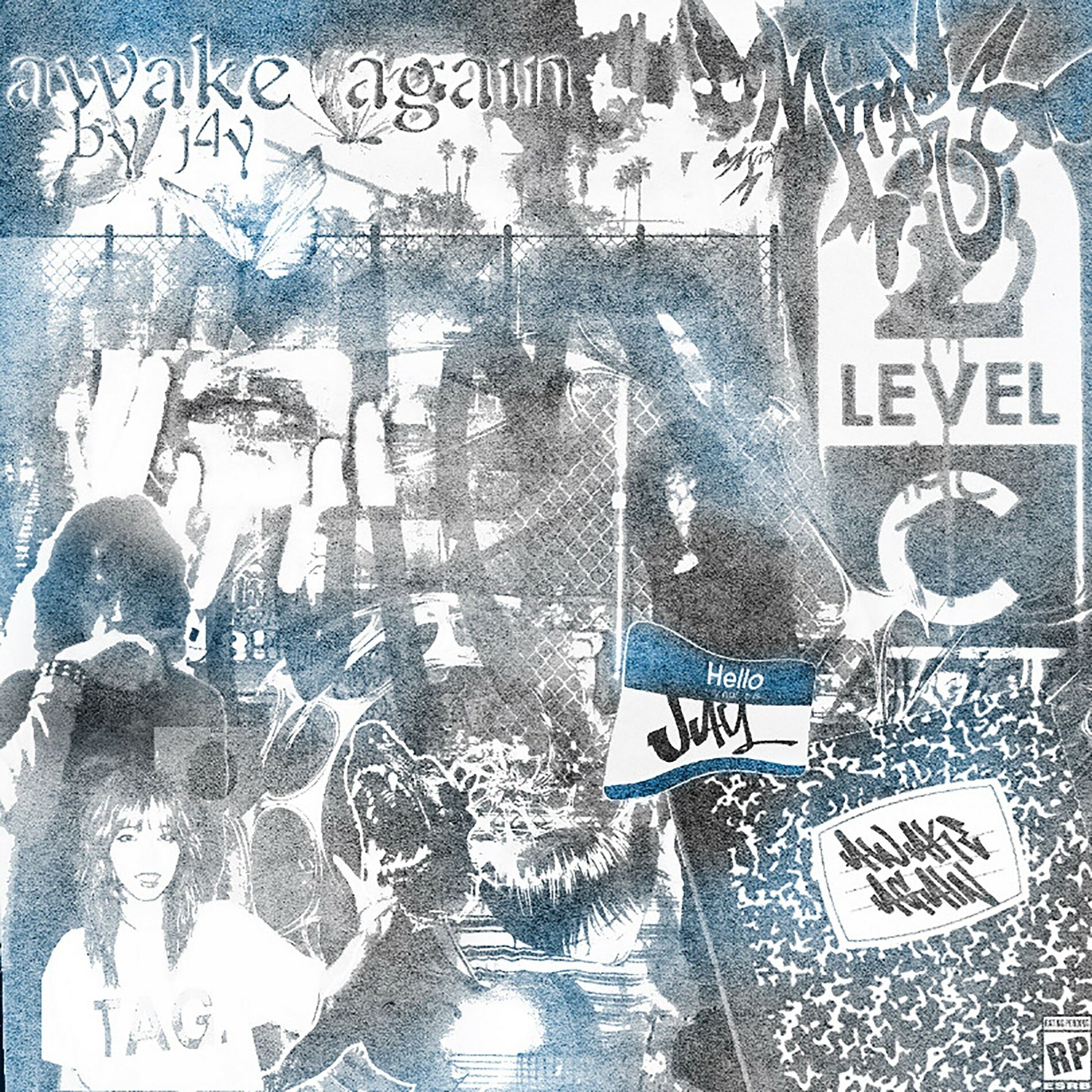Album cover of awake again