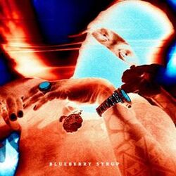 Cover of Blueberry Syrup