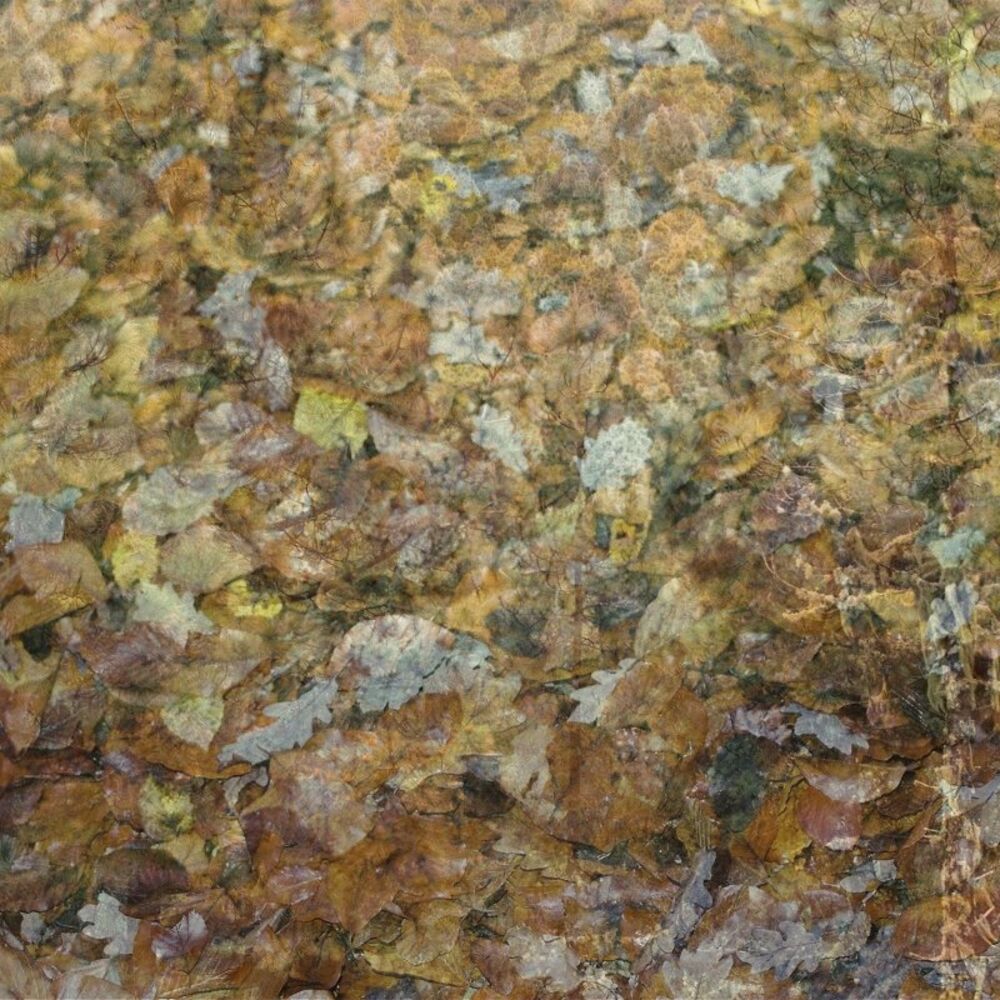 Picture of Anger