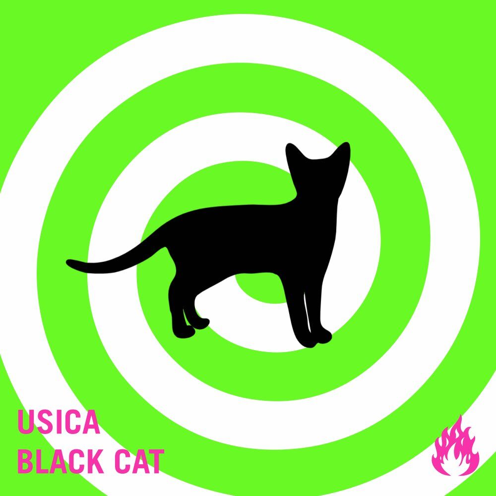 Picture of Black Cat