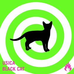 Cover of Black Cat
