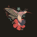 Kolibri